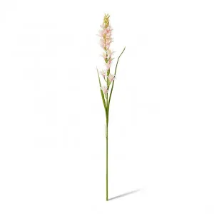 Tuberose Stem - 12 x 10 x 90cm by Elme Living, a Plants for sale on Style Sourcebook