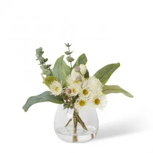 Flowering Eucalyptus Leaf Mix  - Alma Vase - 24 x 24 x 25cm by Elme Living, a Plants for sale on Style Sourcebook