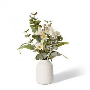 Flowering Eucy Mix  - Damita Vase - 30 x 30 x 45cm by Elme Living, a Plants for sale on Style Sourcebook