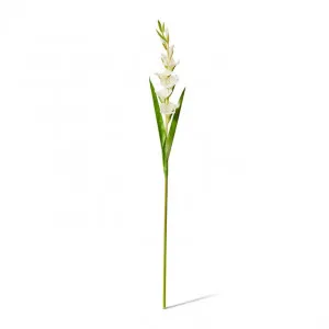 Gladiolus Stem - 13 x 8 x 106cm by Elme Living, a Plants for sale on Style Sourcebook