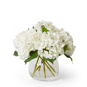 Hydrangea White - Alma Vase - 35 x 35 x 37cm by Elme Living, a Plants for sale on Style Sourcebook