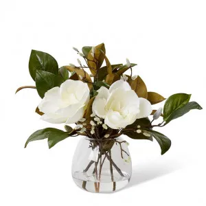 Magnolia Leaf Mix  - Alma Vase - 42 x 42 x 44cm by Elme Living, a Plants for sale on Style Sourcebook