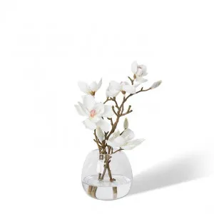 Mini Magnolia - Alma Vase - 17 x 12 x 27cm by Elme Living, a Plants for sale on Style Sourcebook