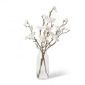 Mini Magnolia - Harnan Vase - 30 x 25 x 50cm by Elme Living, a Plants for sale on Style Sourcebook