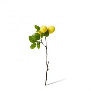 Lemon Branch Spray - 28 x 15 x 51cm by Elme Living, a Plants for sale on Style Sourcebook