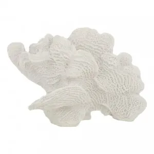 Foliose Coral Sculpture 23x15cm in White by OzDesignFurniture, a Statues & Ornaments for sale on Style Sourcebook