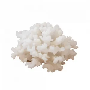 Small Polyresin Coral by Style My Home, a Statues & Ornaments for sale on Style Sourcebook