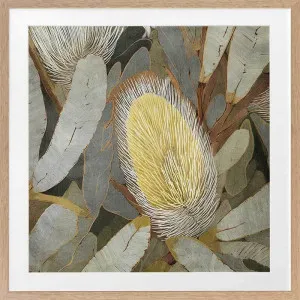 Wild Bottlebrush l Framed Art Print by Urban Road, a Prints for sale on Style Sourcebook