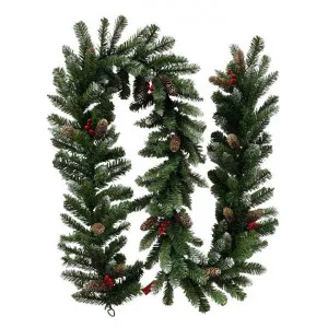 Gimberry Christmas Garland, 274cm by Swishmas, a Plants for sale on Style Sourcebook