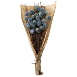Lussielaw Dried Thistle Bundle in Paper Wrap, Blue by Casa Bella, a Plants for sale on Style Sourcebook