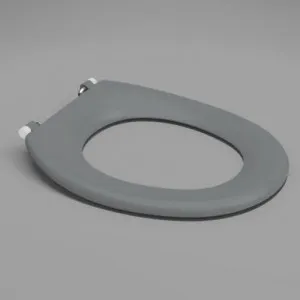 Caravelle Care Single Flap Toilet Seat Anthracite Nth | Made From Stainless Steel In Grey By Caroma by Caroma, a Toilets & Bidets for sale on Style Sourcebook