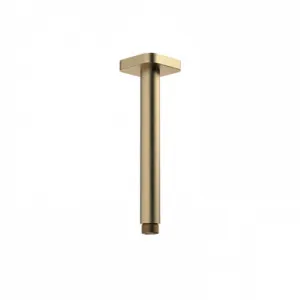 Luna Straight Arm Square Flange 210 Brushed | Made From Brass/Brushed Brass By Caroma by Caroma, a Showers for sale on Style Sourcebook