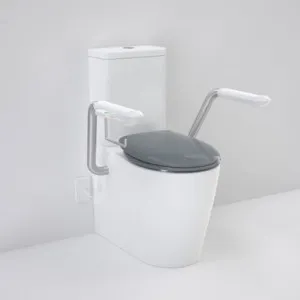 Care 660 Cleanflush Wall Faced Cc Easy Height Bi Suite With Nurse Call Armrests Right And Caravelle Double Flap Seat Ag In White By Caroma by Caroma, a Toilets & Bidets for sale on Style Sourcebook