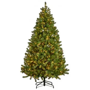 Evergreen LED Light Up Artificial Christmas Tree, 229cm by Swishmas, a Plants for sale on Style Sourcebook