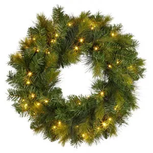 Evergreen LED Light Up Artificial Christmas Wreath, 60cm by Swishmas, a Plants for sale on Style Sourcebook