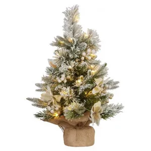Frosted Colonial LED Light Up Artificial Tabletop Christmas Tree, 60cm by National Tree Company, a Plants for sale on Style Sourcebook