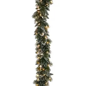 Glittery Bristle Electric LED Light Up Christmas Garland, 274cm by National Tree Company, a Plants for sale on Style Sourcebook