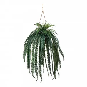 Boston Fern Hanging Bowl 60x195cm in Green/Natural by OzDesignFurniture, a Plant Holders for sale on Style Sourcebook