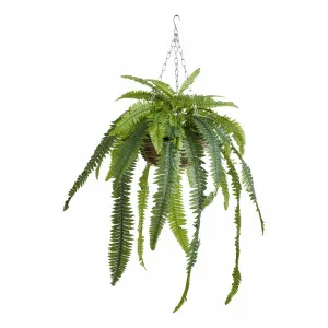 Boston Fern Hanging Bowl 56x100cm in Green/Natural by OzDesignFurniture, a Plant Holders for sale on Style Sourcebook