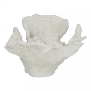 Foliose Coral Sculpture 15x10cm in White by OzDesignFurniture, a Statues & Ornaments for sale on Style Sourcebook