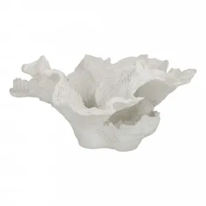 Foliose Coral Sculpture 30x15cm in White by OzDesignFurniture, a Statues & Ornaments for sale on Style Sourcebook