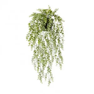 Silver Leaf Hanging Plant-Garden Pot - 13 x 20 x 58cm by Elme Living, a Plants for sale on Style Sourcebook