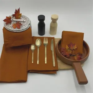 RANS Venice Linen Terracotta Napkin Set by null, a Napkins for sale on Style Sourcebook
