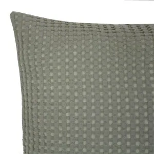 Bambury Endor Sage 50x50cm Cushion by null, a Cushions, Decorative Pillows for sale on Style Sourcebook