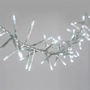 Habiba LED Cluster Fairy Light, Neutral White by Lexi Lighting, a Christmas for sale on Style Sourcebook