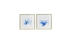 Blue Coral Framed Prints Wall Art 56cm x 56cm by Luxe Mirrors, a Prints for sale on Style Sourcebook