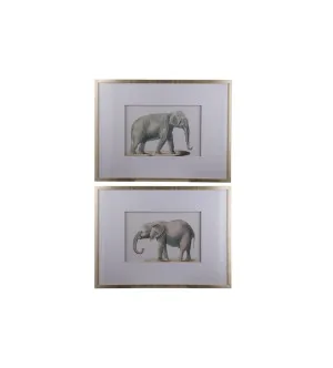 Elephant Framed Prints Wall Art Set of 2 60cm x 80cm by Luxe Mirrors, a Prints for sale on Style Sourcebook