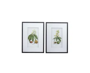 Set of 2 Fruit and Flower Leaves Wall Art 70cm x 50cm by Luxe Mirrors, a Prints for sale on Style Sourcebook