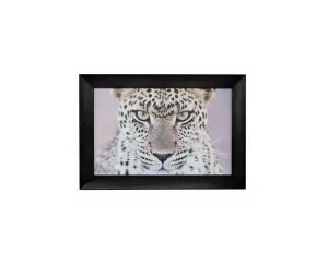 Leopard Black Painted Framed Wall Art 80cm x 110cm by Luxe Mirrors, a Prints for sale on Style Sourcebook