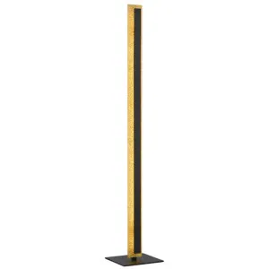 Serano II Aluminium Dimmable LED Floor Lamp, Gold by Telbix, a Floor Lamps for sale on Style Sourcebook