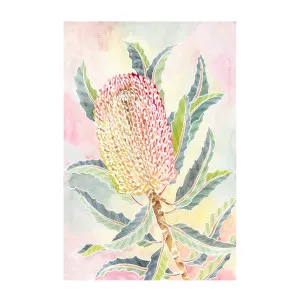 Pastel Banksia , By Jessie Mitchelson by Gioia Wall Art, a Prints for sale on Style Sourcebook