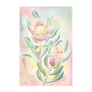 Pastel Proteas , By Jessie Mitchelson by Gioia Wall Art, a Prints for sale on Style Sourcebook