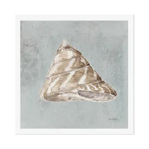 Sand And Seashells, Style E , By Lisa Audit by Gioia Wall Art, a Prints for sale on Style Sourcebook