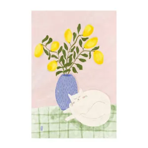 Sleeping Cat And A Lemon Vase , By Lia Nell by Gioia Wall Art, a Prints for sale on Style Sourcebook