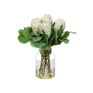 Toby Artificial Protea in Glass Vase, Small, White Flower by Florabelle, a Plants for sale on Style Sourcebook
