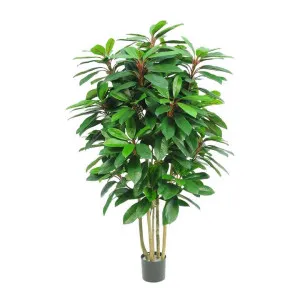 Potted Artificial Schefflera Tree, 120cm by Florabelle, a Plants for sale on Style Sourcebook