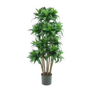 Potted Artificial Dracaena Fragrans Tree, 120cm by Florabelle, a Plants for sale on Style Sourcebook