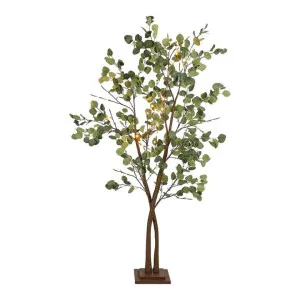 Killara LED Light Up Artificial Eucalyptus Tree, 180cm by Florabelle, a Plants for sale on Style Sourcebook