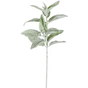 Artificial Lamb's-ear Flocked Stem, 71cm by Florabelle, a Plants for sale on Style Sourcebook