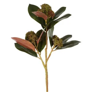 Artificial Magnolia Berry Spray, 80cm, Burgundy / Green by Florabelle, a Plants for sale on Style Sourcebook