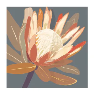 Augusta Slate Protea , By Stacey Williams by Gioia Wall Art, a Prints for sale on Style Sourcebook