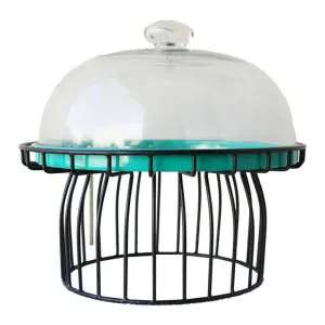 Aspen Metal & Glass Cake Stand with Glass Dome by Darlin, a Cake Stands for sale on Style Sourcebook