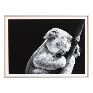 Sleepy Koala Framed Print in 86 x 62cm by OzDesignFurniture, a Prints for sale on Style Sourcebook