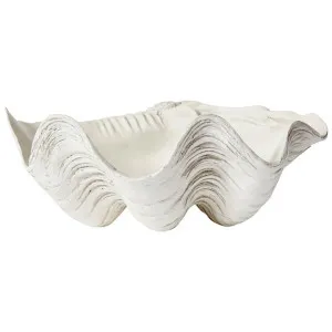 Elme Clam Shell Sculpture, Small by Elme Living, a Statues & Ornaments for sale on Style Sourcebook