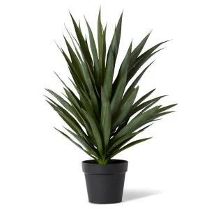 Elme Potted Artificial Yucca Plant, 74cm by Elme Living, a Plants for sale on Style Sourcebook