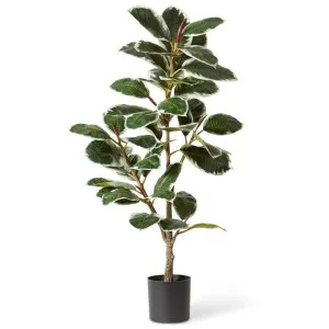 Elme Potted Artificial Variegated Rubber Plant, 132cm by Elme Living, a Plants for sale on Style Sourcebook